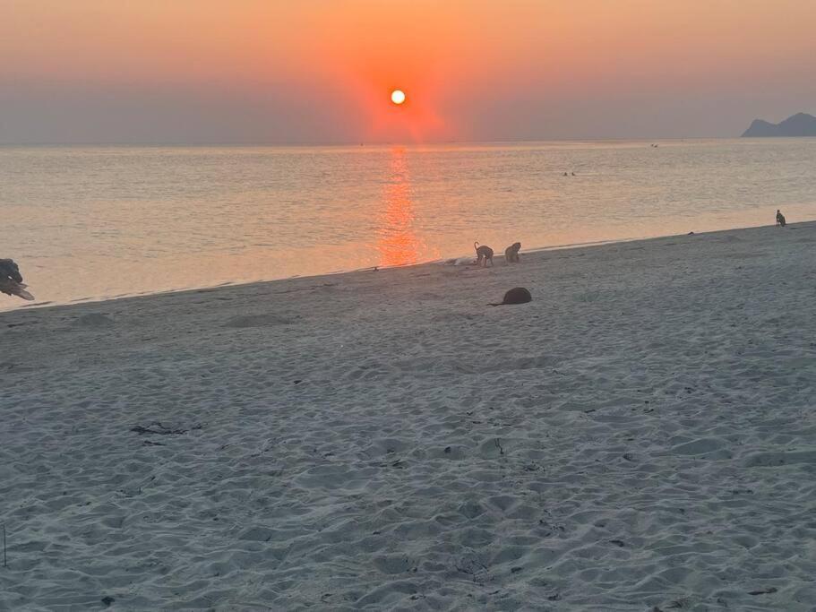 Sunset Serenity Cove Ko Pha Ngan Exteriér fotografie