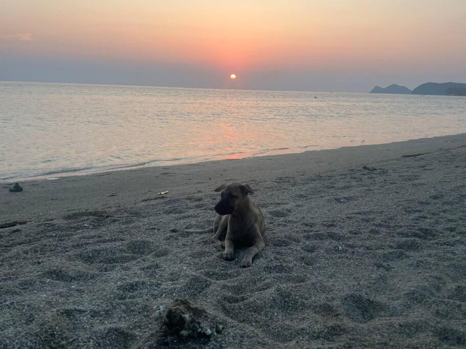 Sunset Serenity Cove Ko Pha Ngan Exteriér fotografie